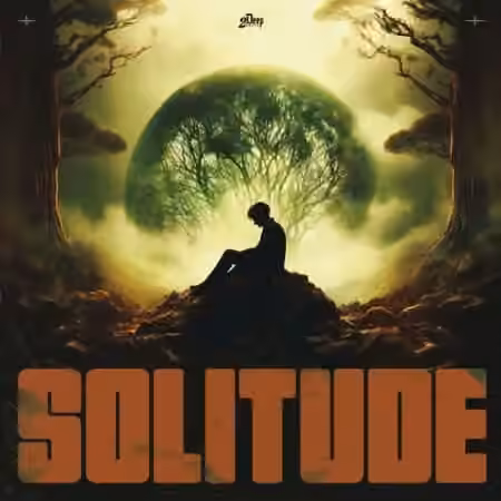 2DEEP BEATS Solitude [WAV, MiDi]