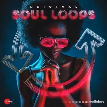 2DEEP Original Soul Loops [WAV]