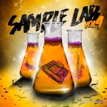 2DEEP Sample Lab Volume 4 [WAV]