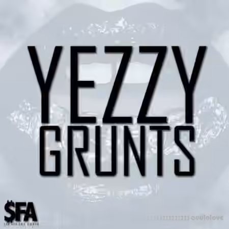 3 Digi Audio Yezzy Grunts [WAV, MiDi]