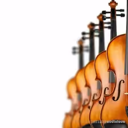 8Dio Deep Quintet Strings [KONTAKT]