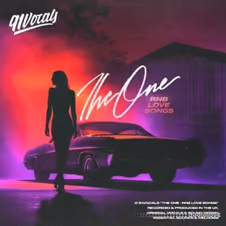 91Vocals The One - RnB Love Songs [WAV]