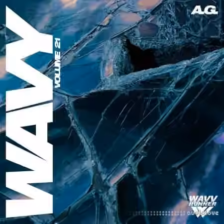 A G Wavy Sample Pack Vol.21 [WAV]