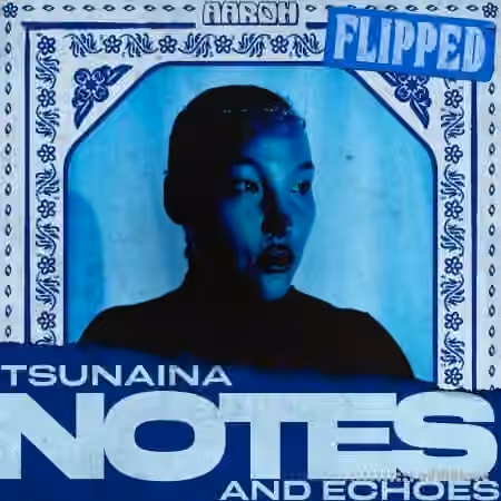 Aaroh TSUNAINA - Notes and Echoes [WAV]