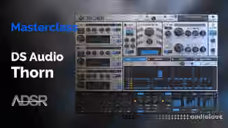 ADSR Sounds The Complete Guide To DS AUDIO THORN [TUTORiAL]