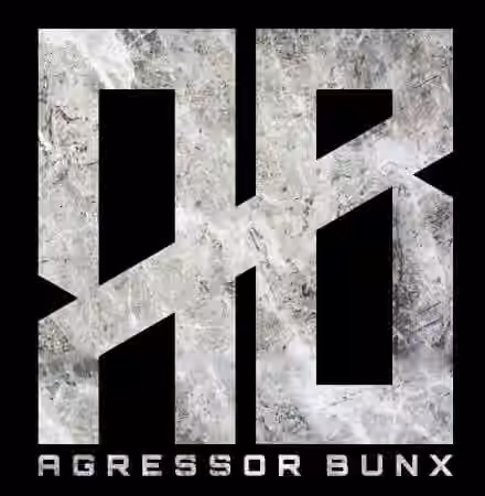 Agressor Bunx Drum n Bass Samples Patreon Pack Vol.31-40 [WAV]