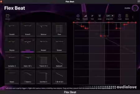 AIR Music Technology Flex v1.1.0 [MacOSX]