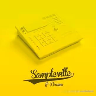 Al Amin Sampleville and Drums [WAV]