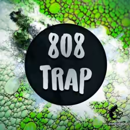 Angry Parrot 808 Trap [WAV, MiDi, Synth Presets]