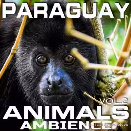 Animal Planet FX Paraguay Animals Ambience Vol.2 [FLAC]