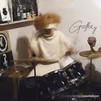 Ardist & mTwenty Gallery Drumkit [WAV]