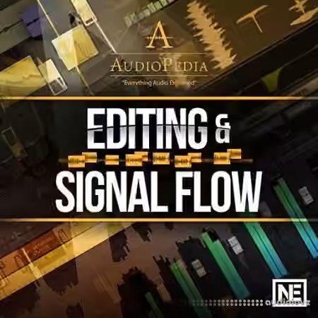 Ask Video AudioPedia 107 Editing and Signal Flow [TUTORiAL]