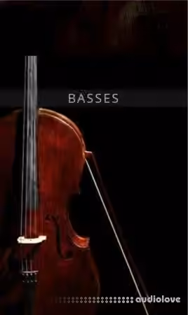 Auddict United Strings of Europe: Basses [KONTAKT]