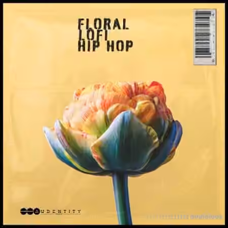 Audentity Records Floral Lofi Hip Hop [WAV]