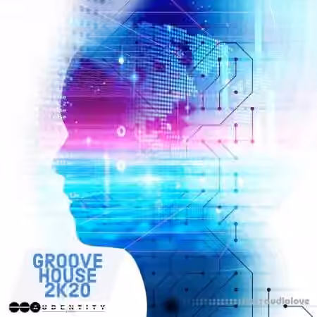 Audentity Records Groove House 2K20 [WAV]
