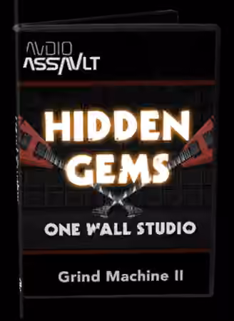 Audio-Assault Hidden Gems Amp Pack v1.2 [Synth Presets]