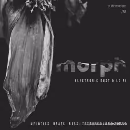 Audiomodern Morph [WAV]