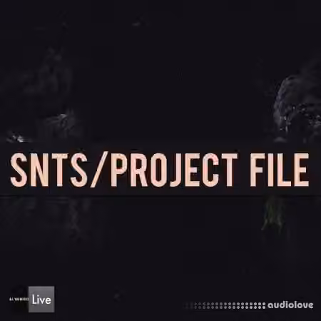 Audioreakt AYNIL SNTS [Ableton Live]