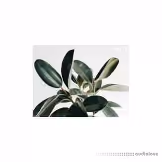 Austin Marc Drum Kit Vol.1 [WAV]