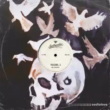 Authentic Music Library Vol.5 (STEMS) [WAV]