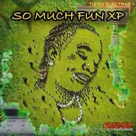 Ave Mcree So Much Fun XP for Tone2 ElectraX 1.4 or Higher [Synth Presets]