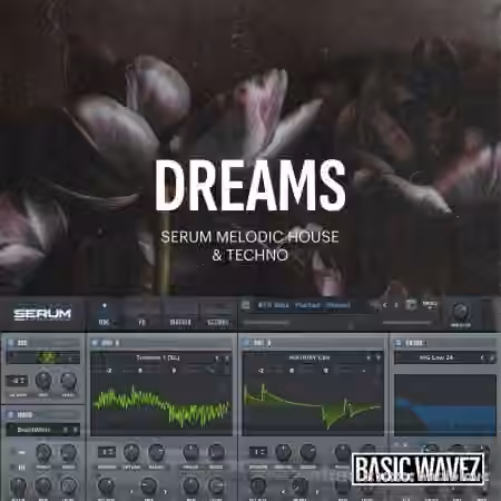 Baisc Wavez Dreams Melodic House and Techno Presets [Synth Presets]
