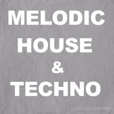Beatrising Melodic House and Techno [WAV]