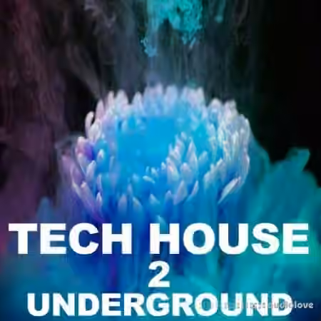 Beatrising Tech House Underground 2 [WAV]