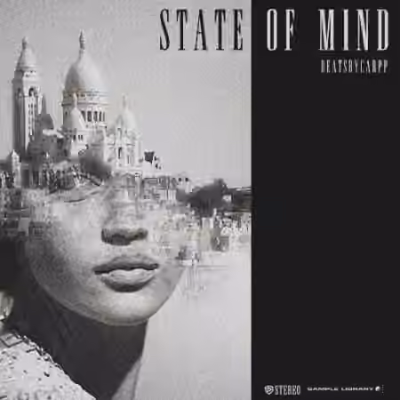 beatsbycarpp State of Mind [WAV]