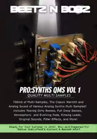 Beetz N Bobz Pro Synths QMS Vol.1 [KONTAKT]