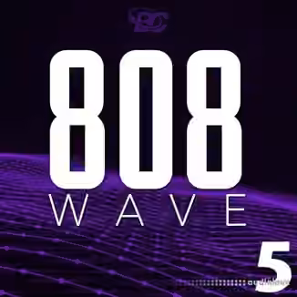 Big Citi Loops 808 Wave 5 [WAV, MiDi]