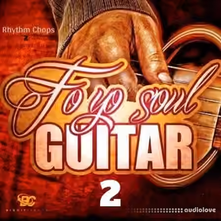 Big Citi Loops Fo Yo Soul Guitar Rhythm Chops 2 [WAV]