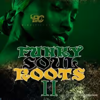 Big Citi Loops Funky Soul Roots 2 [WAV, MiDi]