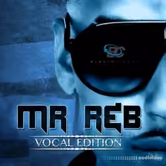 Big Citi Loops Mr. RnB Vocal Edition [WAV]