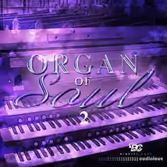 Big Citi Loops Organ Of Soul 2 [WAV]