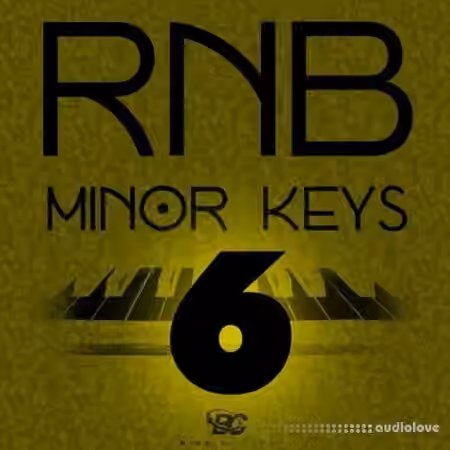 Big Citi Loops RnB Minor Keys 6 [WAV]