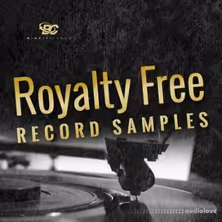 Big Citi Loops Royalty-Free Record Samples [WAV, REX]