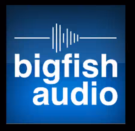 Big Fish Audio Electro Pop v1.0.0.3 [for SONAR]