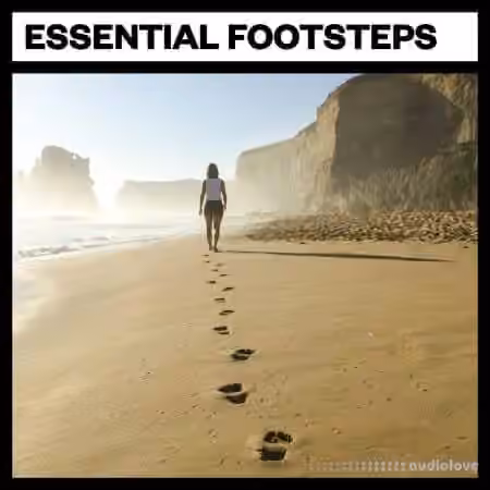 Big Room Sound Essential Footsteps [WAV]