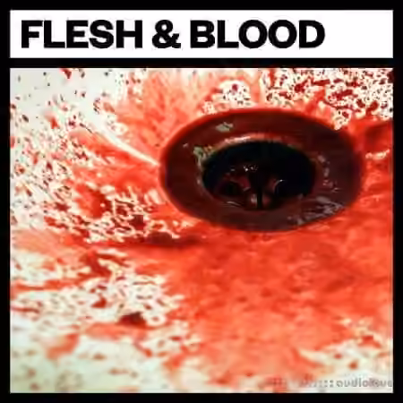 Big Room Sound Flesh and Blood [WAV]