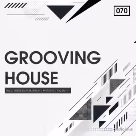 Bingoshakerz Grooving House [WAV, Synth Presets]