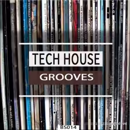 Bingoshakerz Tech House Grooves [WAV]