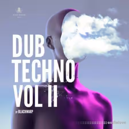 Black Octopus Dub Techno Vol.2 [WAV, Synth Presets]