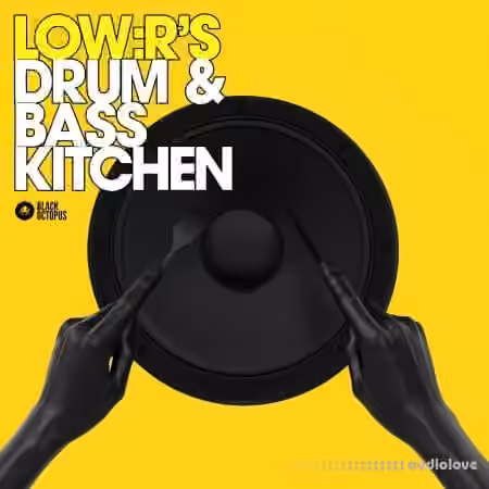 Black Octopus LOW:Rs Drum And Bass Kitchen [WAV, Synth Presets]