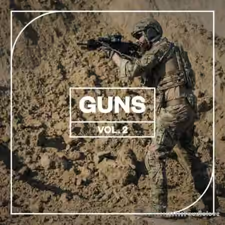 Blastwave FX Guns Vol. 2 [WAV]