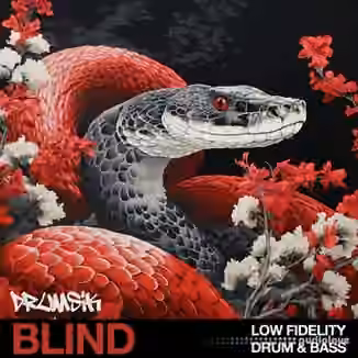 Blind Audio Low Fidelity Drum and Bass [WAV]