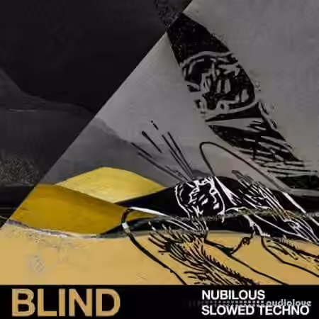 Blind Audio Nubilous: Slowed Techno [WAV]