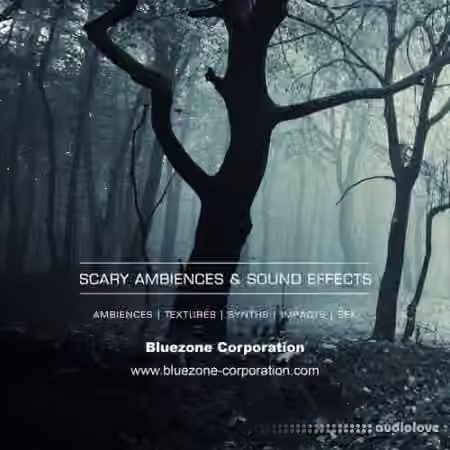 Bluezone Corporation Scary Ambiences and Sound Effects [WAV]