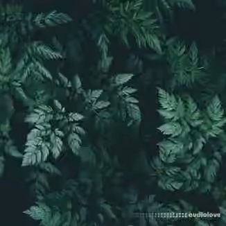 Bruferrbeatz Sage (Drumkit) [WAV]