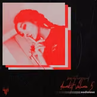 bsterthegawd drumkit Vol.5 [WAV]